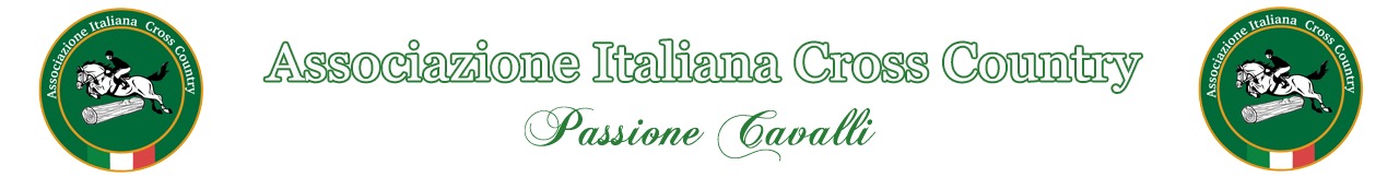 Logo ACSI